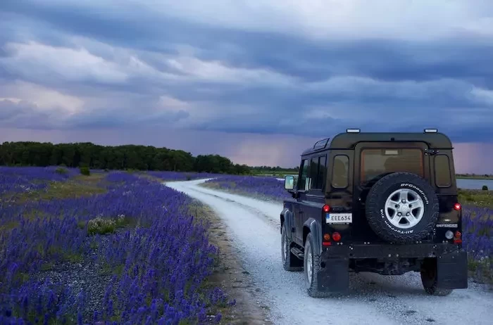  black suv in between purple flower fields small convert io 